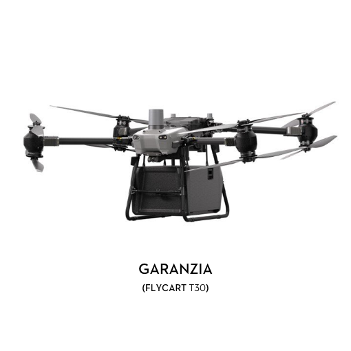 Garanzia 12 mesi DJI FlyCart 30